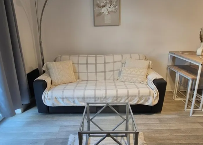 L'escapade-centre Ville-wifi-parking Apartment Lourdes